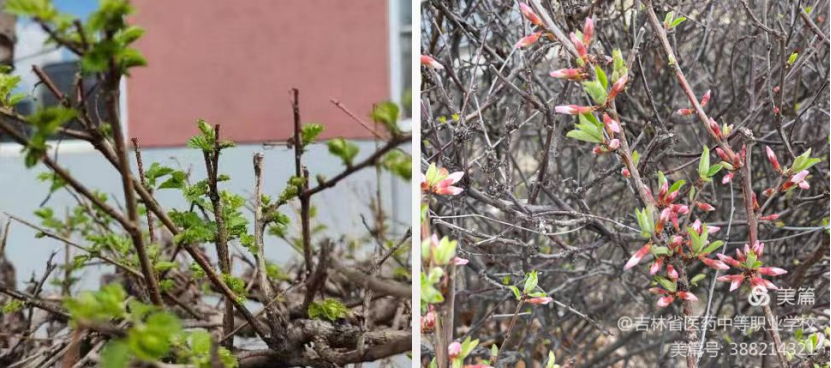 626dfcb8db2c7.png image.png