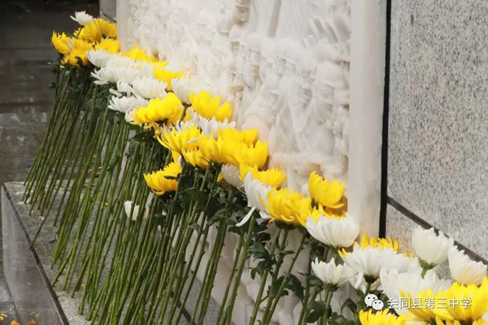 6444cb60b6754.jpg 640-(7).jpg